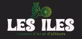 logo ILES